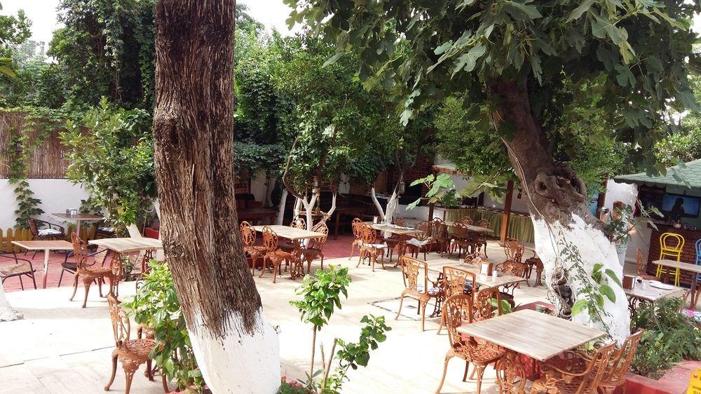 Kaliptus Hotel Kemer Exteriér fotografie